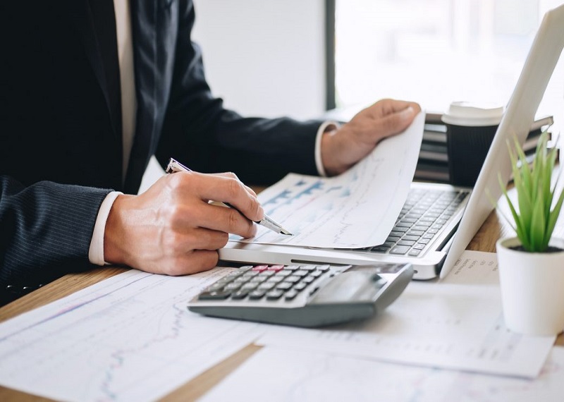 Taxonomic Accountant